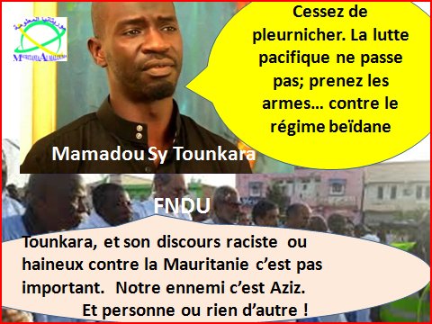 Des propos diffamatoires tenus à l’encontre de la Mauritanie : réaction forte du gouvernement sénégalais, et mutisme de l’opposition radicale mauritanienne